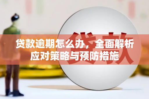 吉州贷款逾期怎么办，全面解析应对策略与预防措施