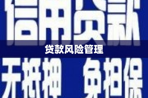 大内贷款风险管理