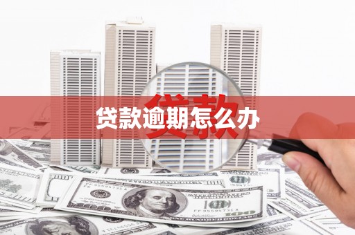 越城贷款逾期怎么办