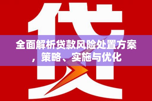阿拉山口全面解析贷款风险处置方案，策略、实施与优化