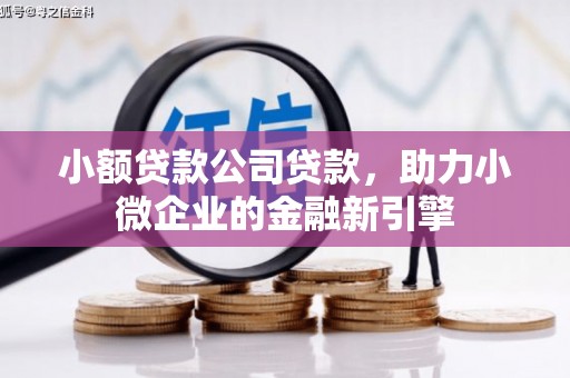 隆回小额贷款公司贷款，助力小微企业的金融新引擎