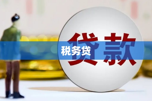 龙凤税务贷