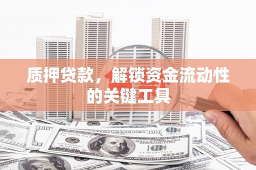 淮上质押贷款，解锁资金流动性的关键工具