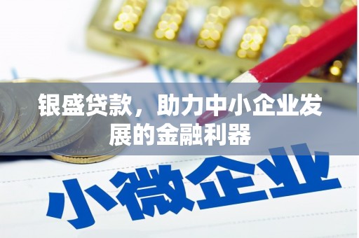 孝南银盛贷款，助力中小企业发展的金融利器