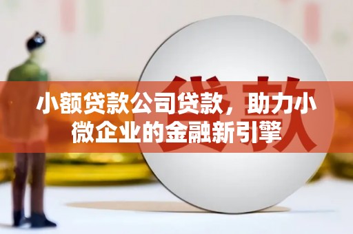 于洪小额贷款公司贷款，助力小微企业的金融新引擎