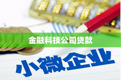行唐金融科技公司贷款
