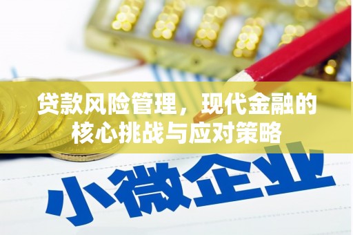 忻府贷款风险管理，现代金融的核心挑战与应对策略