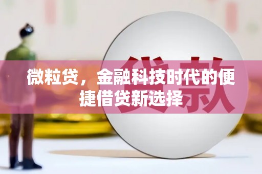 精河微粒贷，金融科技时代的便捷借贷新选择
