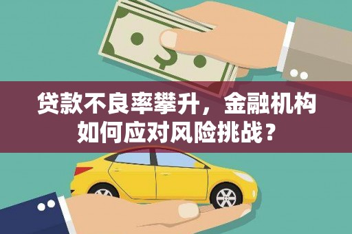 湛江贷款不良率攀升，金融机构如何应对风险挑战？