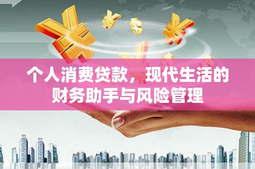大余个人消费贷款，现代生活的财务助手与风险管理