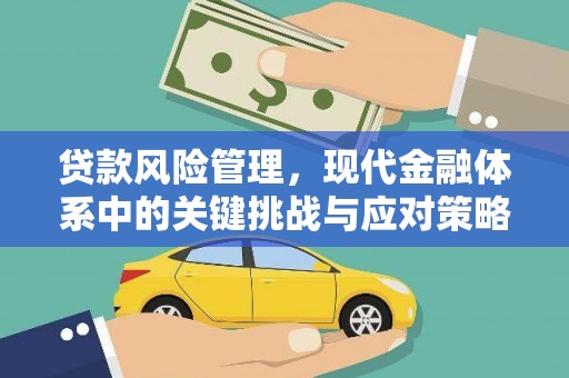 鸡冠贷款风险管理，现代金融体系中的关键挑战与应对策略