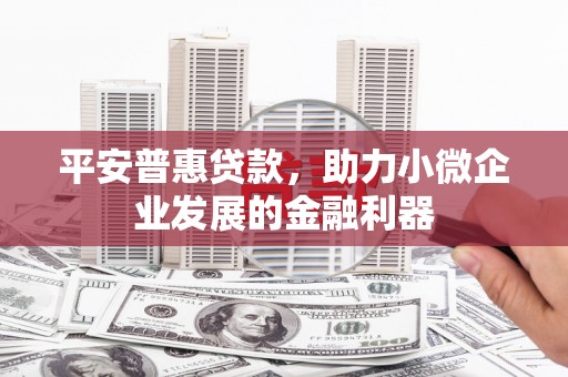 浑南平安普惠贷款，助力小微企业发展的金融利器