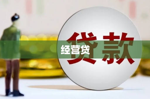 修文经营贷