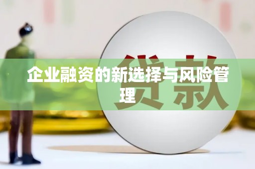射阳企业融资的新选择与风险管理