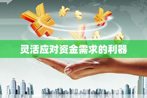 莎车灵活应对资金需求的利器
