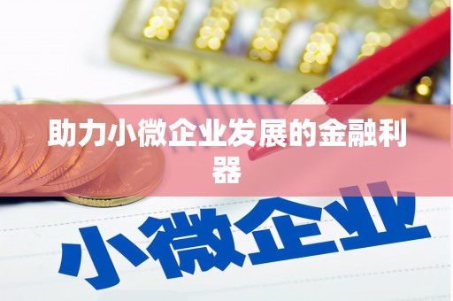 新都助力小微企业发展的金融利器