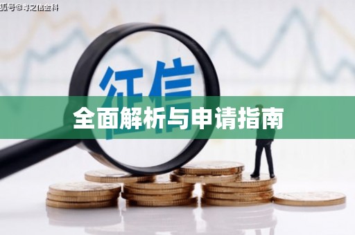 中方全面解析与申请指南